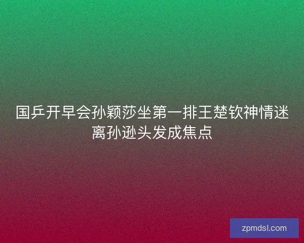 国乒开早会孙颖莎坐第一排王楚钦神情迷离孙逊头发成焦点